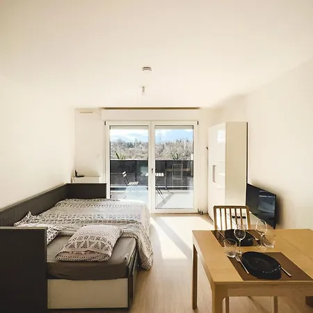 Le Hesingue- Near Airport, Swiss & German Board Saint-Louis (Haut-Rhin)