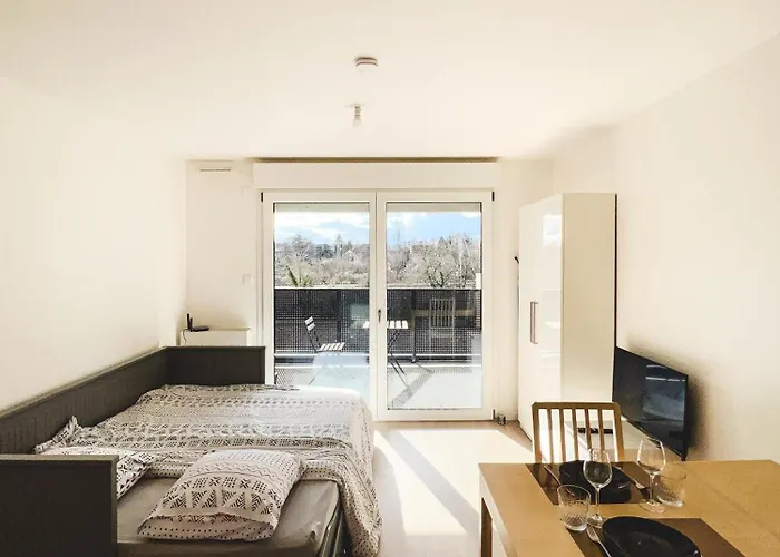 Le Hesingue- Near Airport, Swiss & German Board Saint-Louis (Haut-Rhin)